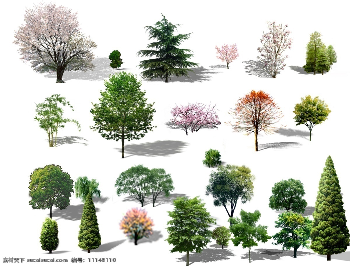 植物素材 乔木 灌木 绿化 造型树 点景树 景观设计 环境设计