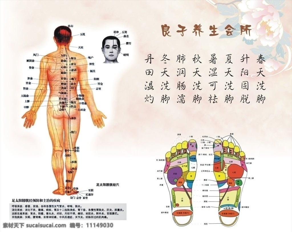 穴位图 kt版 矢量设计 矢量