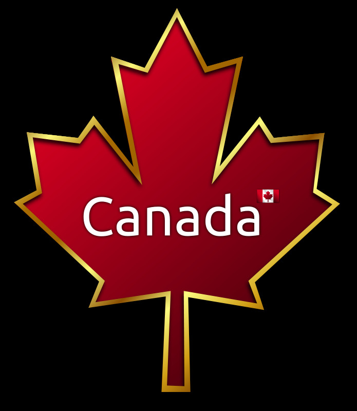 枫叶4 枫 符号 国家 国旗 会徽 加拿大 世界 酥 天 叶 加拿大人 法裔加拿大人 canadiense 阿尔塞 班德拉 织锦 直径 中层 徽章系列 embleme 的痛苦 白叶 怨妇 世界报 销 象征着 插画集