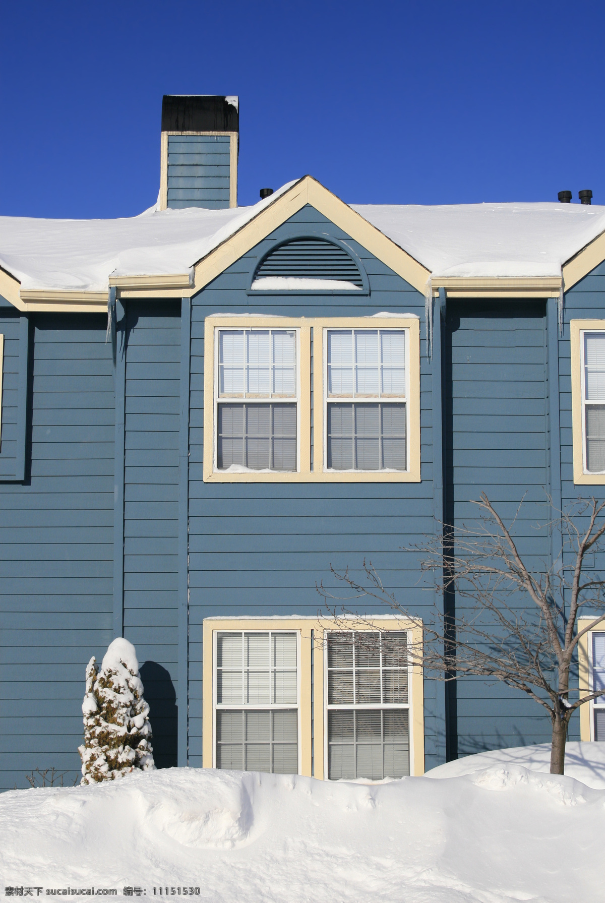 冬天房屋摄影 房屋建筑 房子 室外 建筑 别墅 房屋 住家 楼房 树木 积雪 雪地 外景面貌 建筑设计 环境家居 蓝色