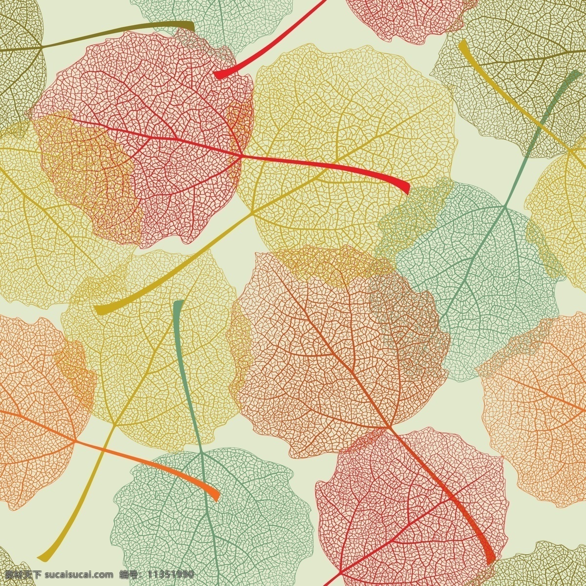 秋天 树叶 图案 矢量