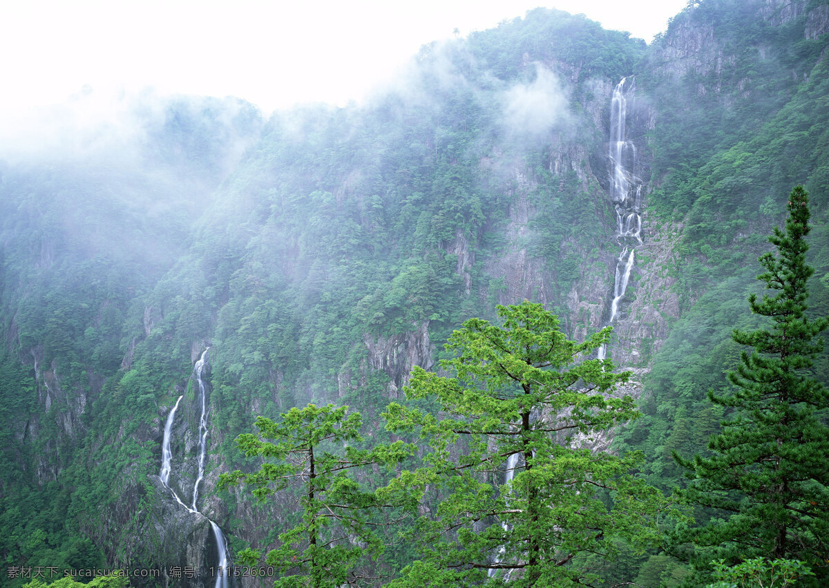 树免费下载 风景 绿色 山水风景 摄影图 树 植物 自然景观 水 家居装饰素材 山水风景画