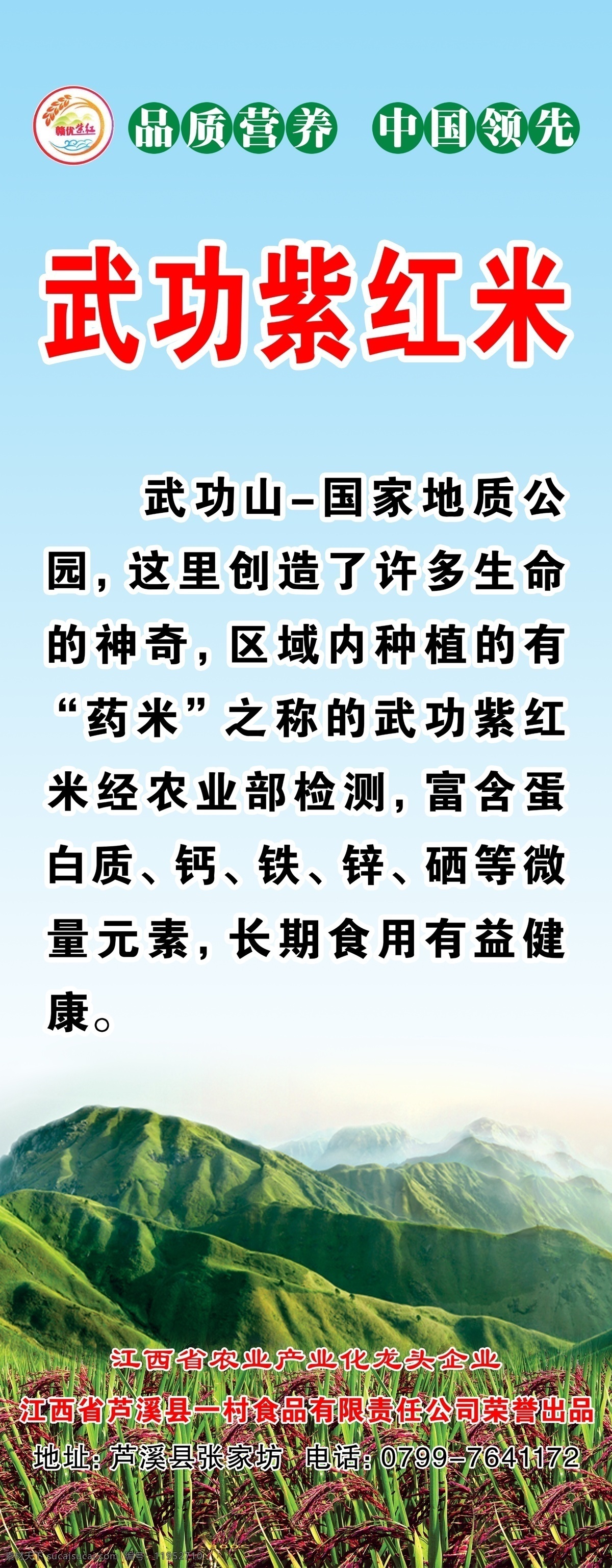 紫红米 麦子 稻谷 青山 蓝天 易拉宝 x展架 分层 源文件