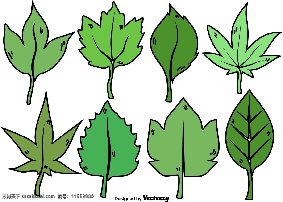 手绘 矢量 树叶 树叶素材 矢量树叶 手绘树叶 手绘植物 矢量素材 叶子 手绘叶子