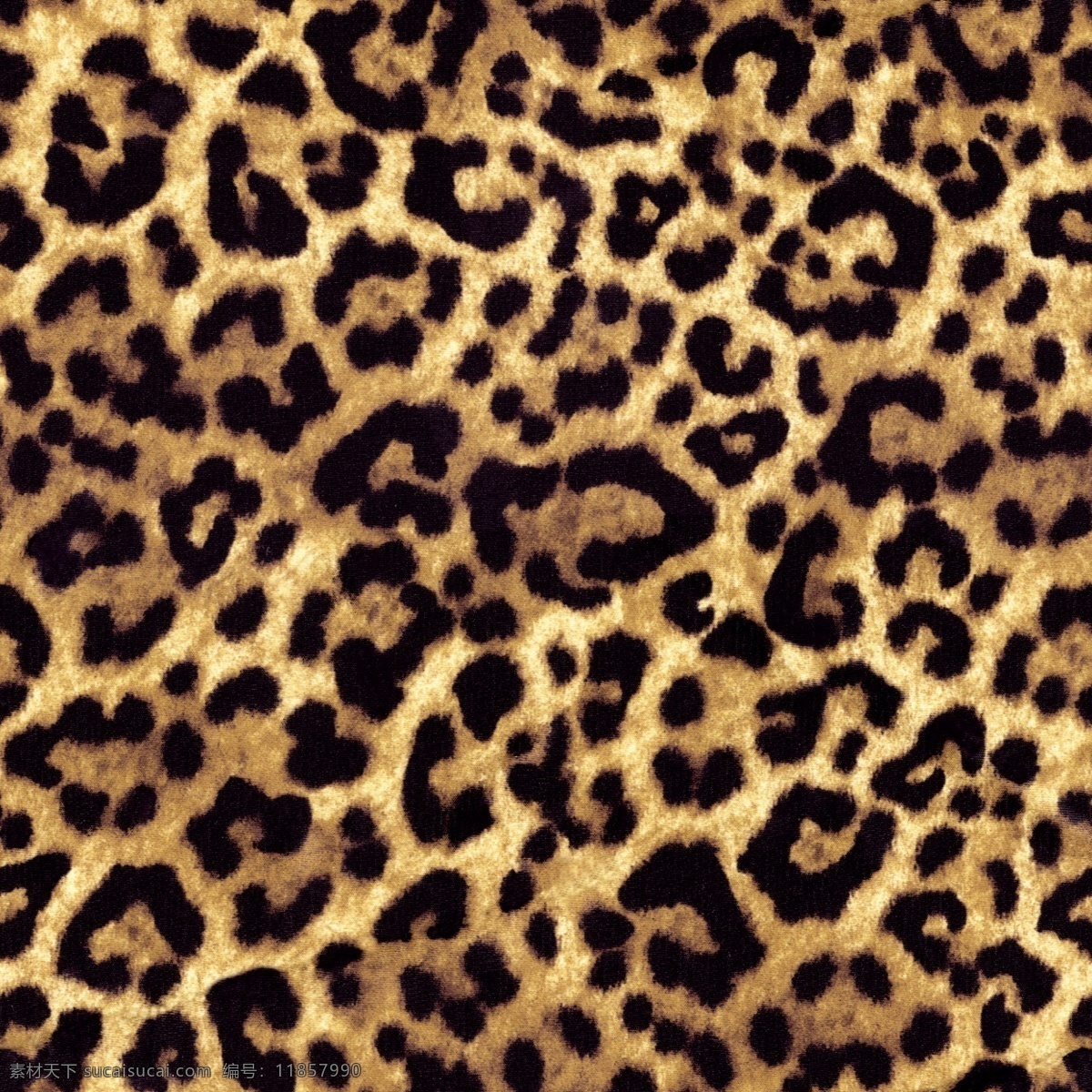 豹 背景 动物 纹理 装饰 面料 壁纸 分层
