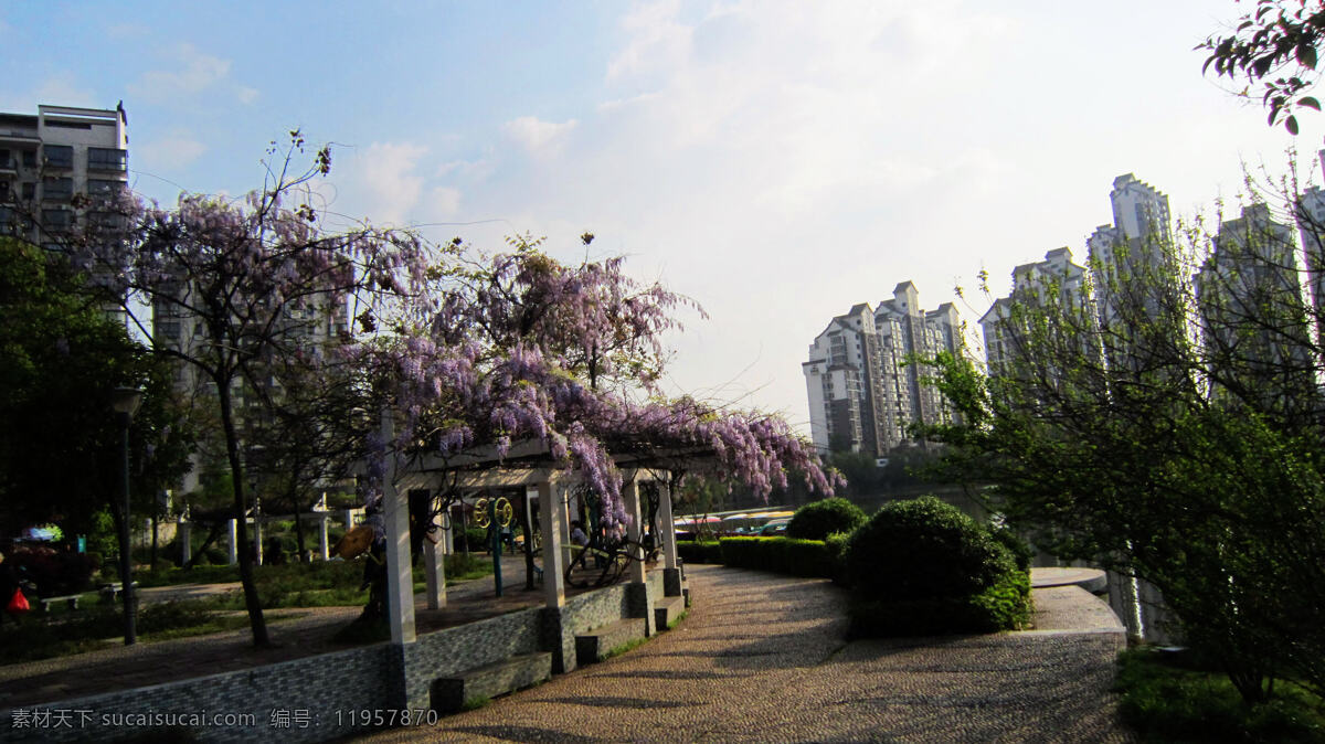 白云 湖水 花蕾 建筑 蓝天 绿叶 游艇 湘潭 白石 公园 风光图片 风光 湘潭白石公园 紫藤架 紫藤花 紫色花 其他树木 白马湖 自然风景 自然景观 风景 生活 旅游餐饮