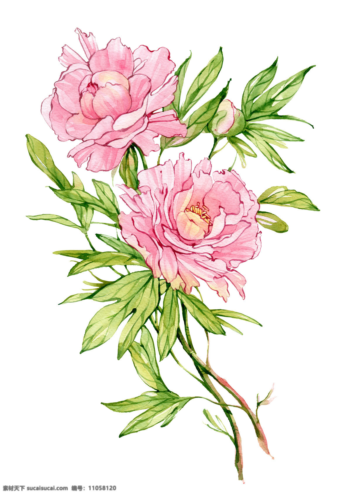 手绘 绿叶 粉色 花朵 叶子 粉色花朵 手绘花朵 手绘图案 植物 花卉 书画文字 文化艺术