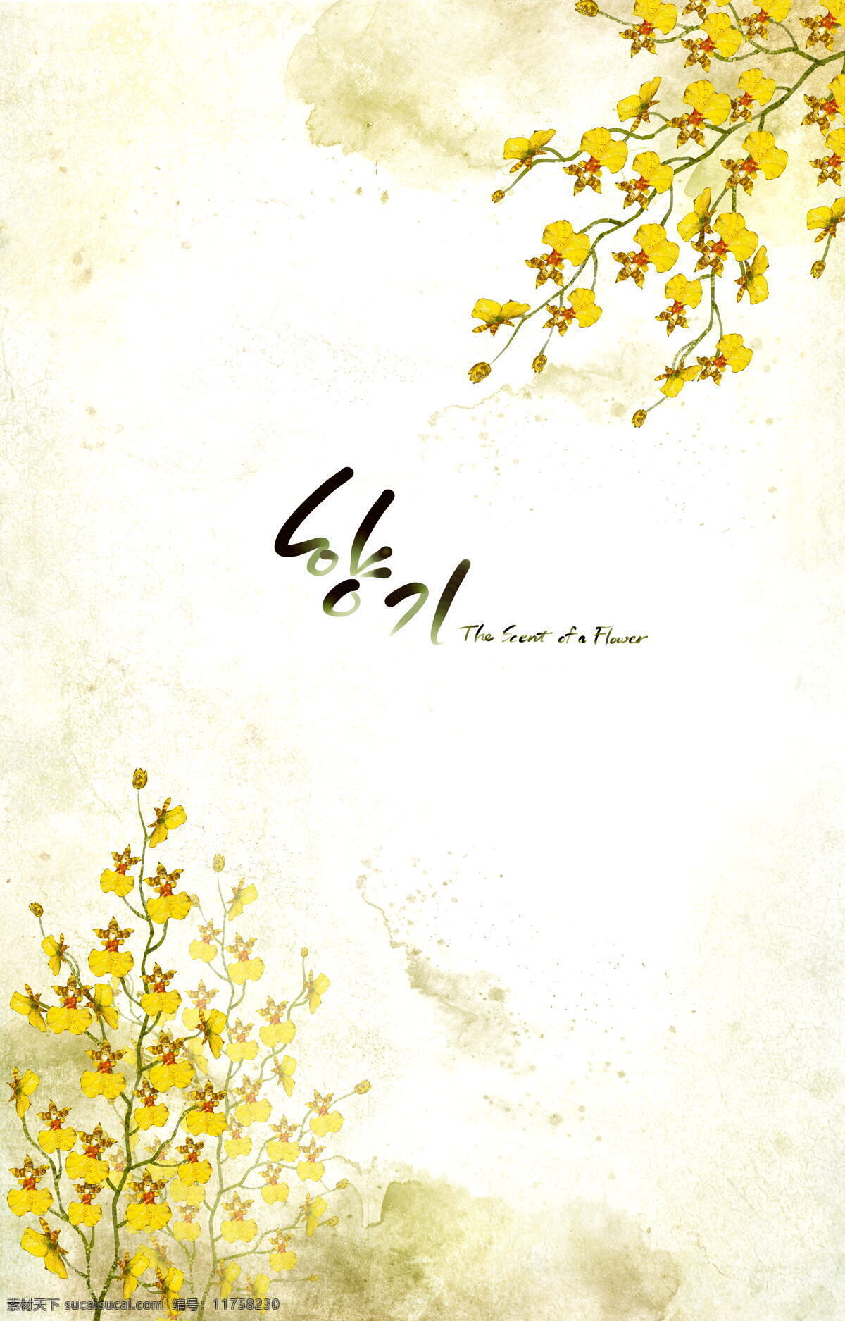 明亮 黄色 韩国 花朵 背景