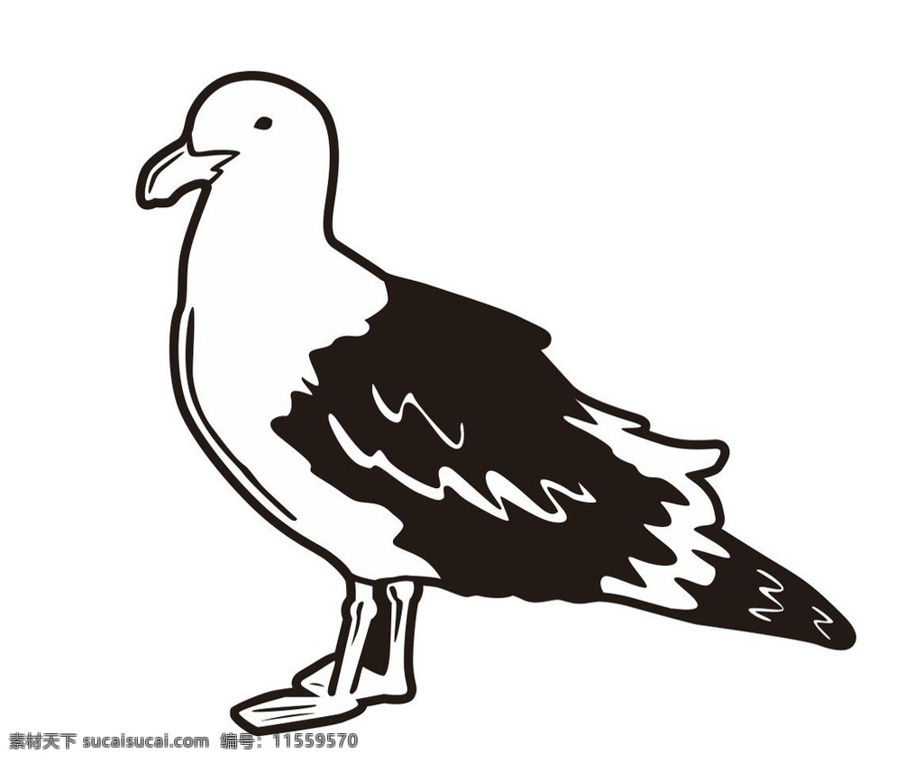 鸽子 鸟 插画 简笔画 线条 线描 简画 黑白画 卡通 手绘 简单手绘画 生活百科矢量 生物世界 鸟类