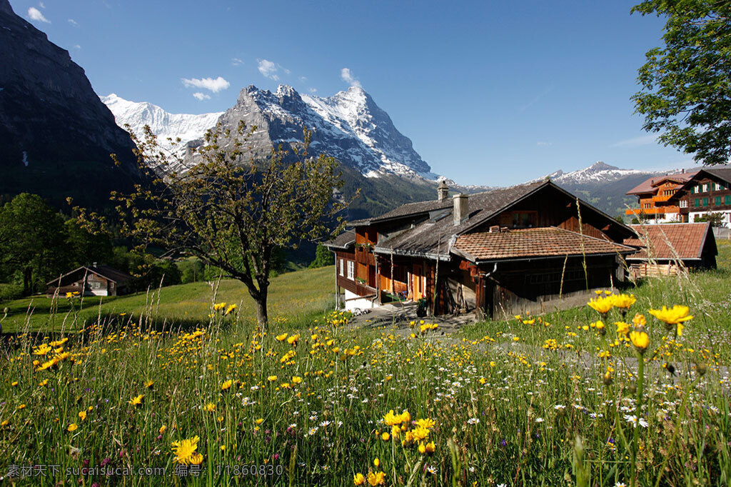 阿尔卑斯山 瑞士 格林德威尔 艾格尔峰 伯恩高地 风景 生活 旅游餐饮
