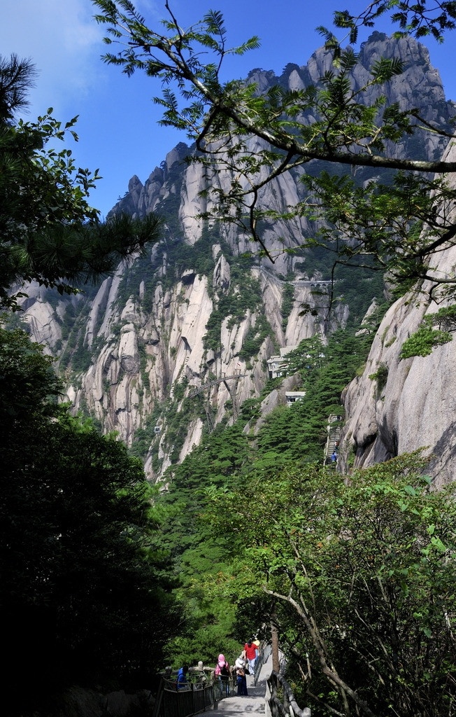 黄山风光 黄山 风景 山峰 夏季 沿途的风景 自然风景 旅游摄影