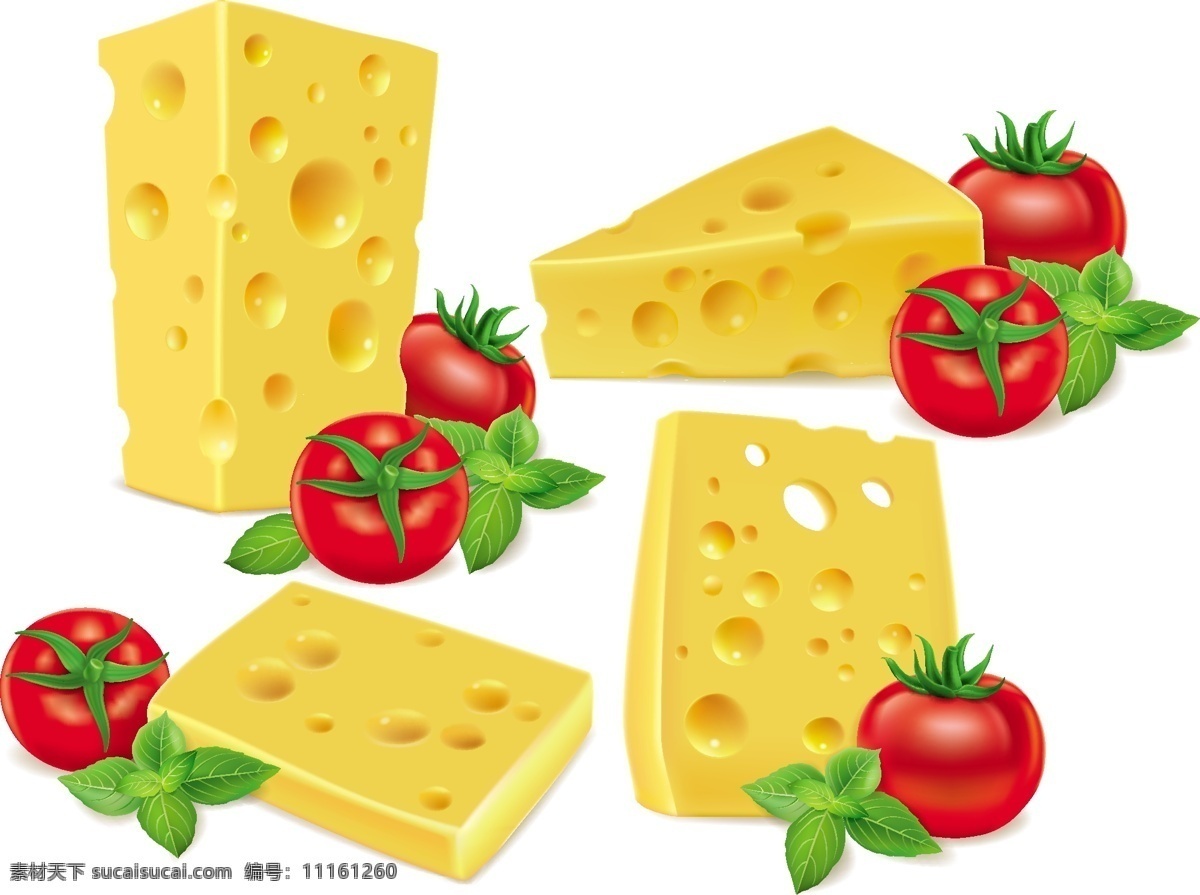 番茄 矢量 奶酪 向量的食品 芝士 白色