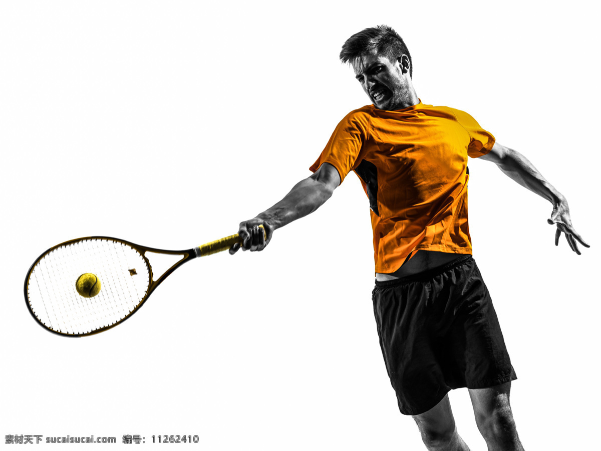 网球的运动员 网球 运动员 高清 白色 背景 高清图片素材 人物图库 人物摄影