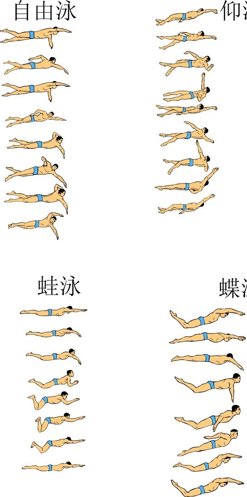 游泳姿势素材图片下载-素材编号11362030-素材天下图库