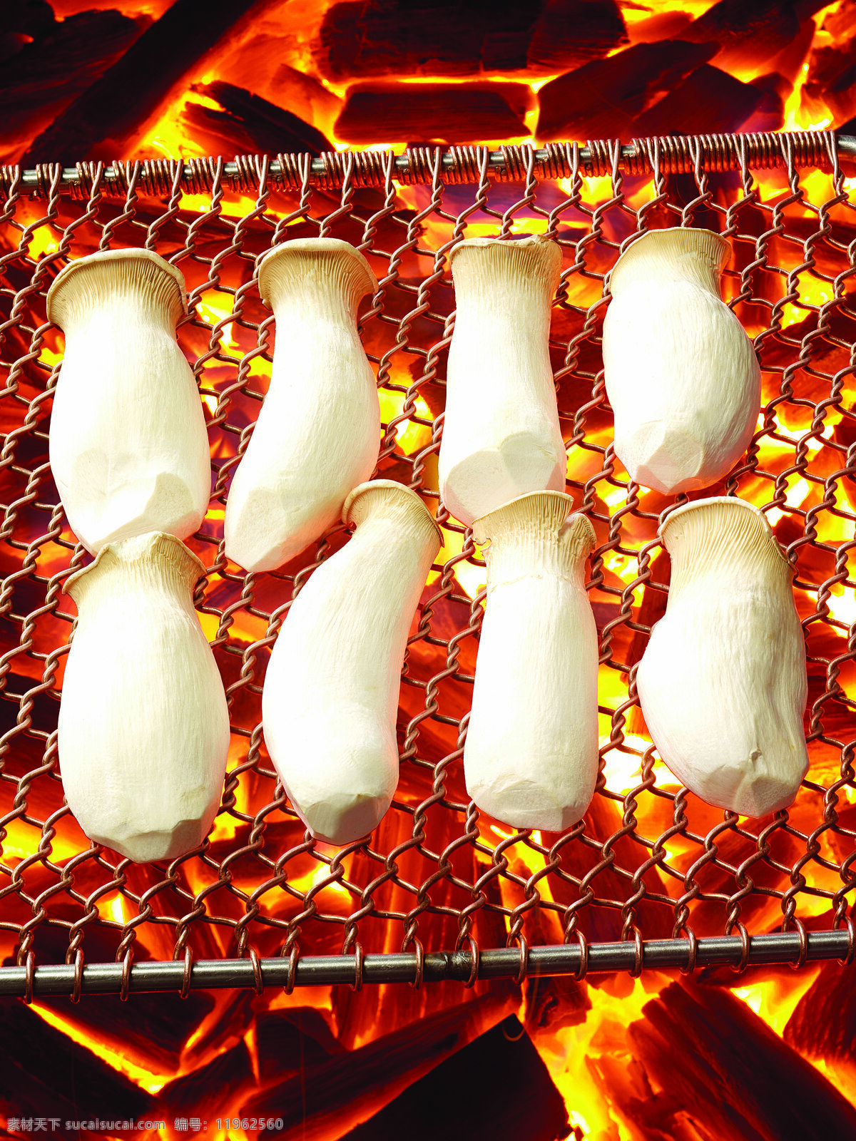 蘑菇 菌类 烧烤 生物世界 蔬菜 烤蘑菇 蔬菜主题 风景 生活 旅游餐饮
