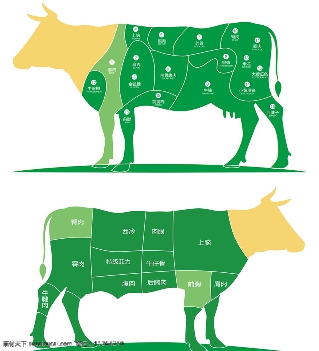 牛肉 部位 分解 图 牛 牛排 牛部位 牛肉部位 牛排部位 分解图 牛分解图 牛肉营养价值 牛部位分解图