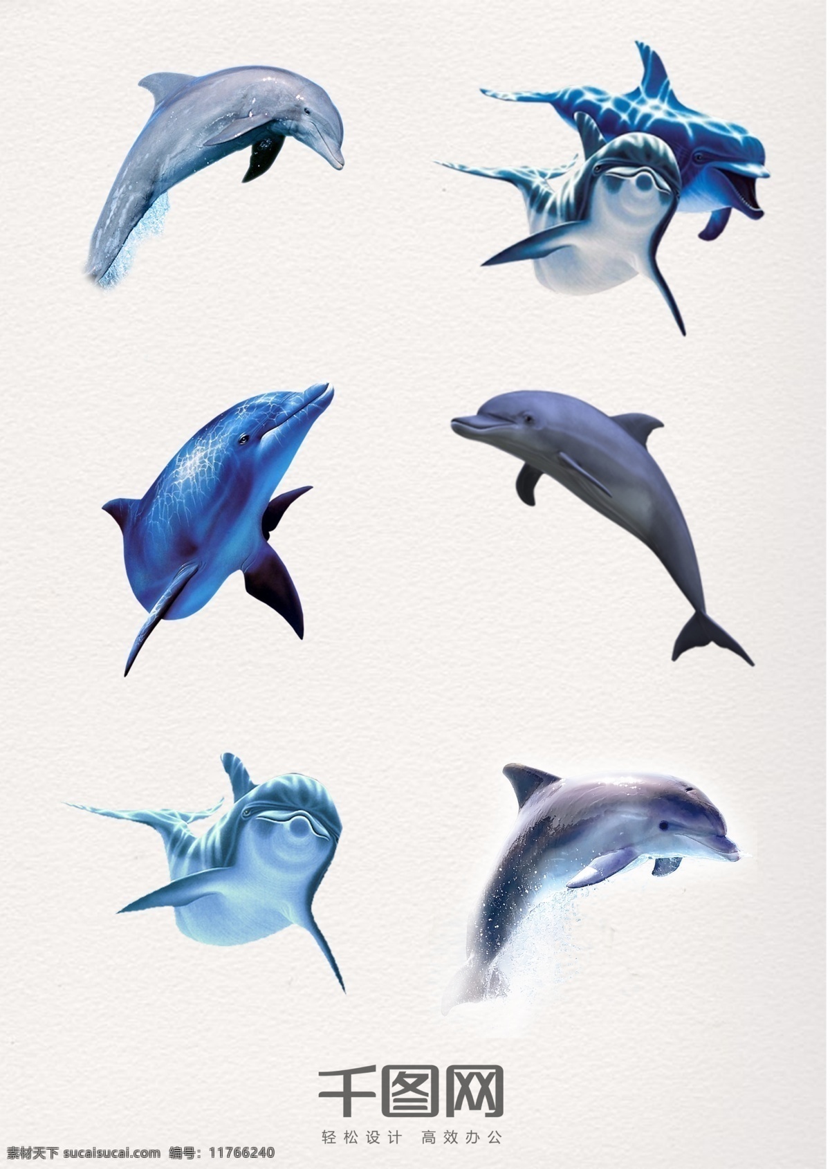 高清 跳跃 海豚 白头喙头海豚 海氏矮海豚 水纹海豚 跳跃的海豚 海底海豚 水浪 水花 白腹海豚