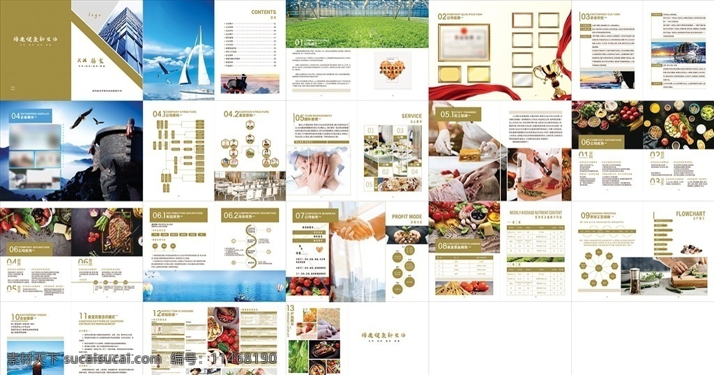 膳食海报 膳食托管 餐饮画册 膳食公司宣传 画册 膳食公司介绍 包管膳食 画册设计