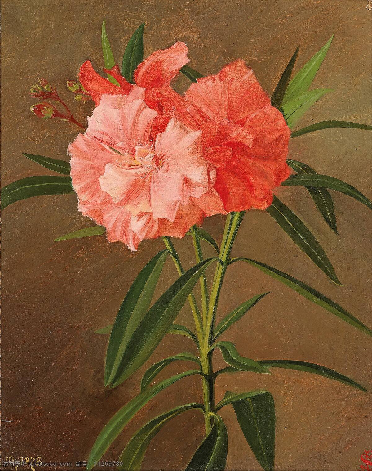 约瑟夫 舒斯特 作品 德国画家 无穷花 粉红色 盛开 静物鲜花 19世纪油画 油画 文化艺术 绘画书法