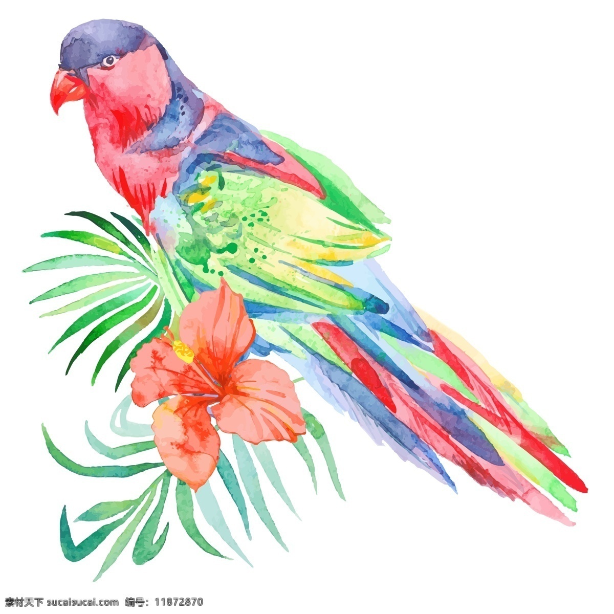 美丽 手绘 鹦鹉 动物 花朵 热带 水彩绘 花卉
