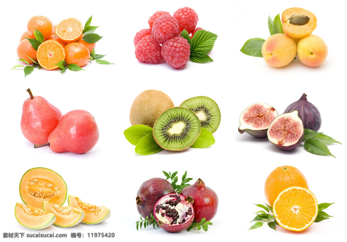 水果 大全 新鲜水果 橘子 梅子 杏 梨 猕猴桃 石榴 橙子 覆盆子 摄影图 高清图片 水果图片 餐饮美食