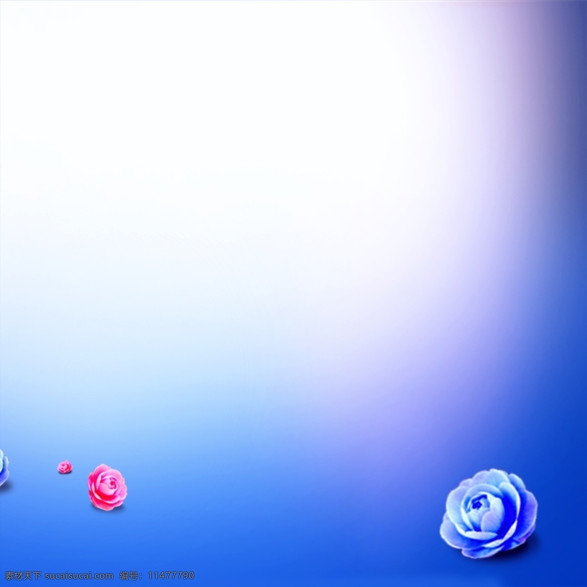 花朵 唯美 背景 蓝紫 淘宝 星光 主图背景 紫色 主 图 白色