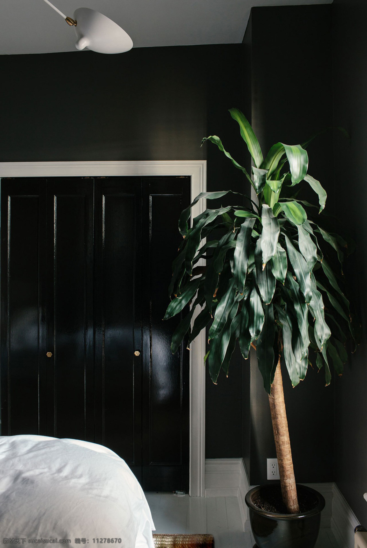 暗色 过道 盆栽 植物 装修 效果图 软装效果图 室内设计 展示效果 房间设计家装 家具