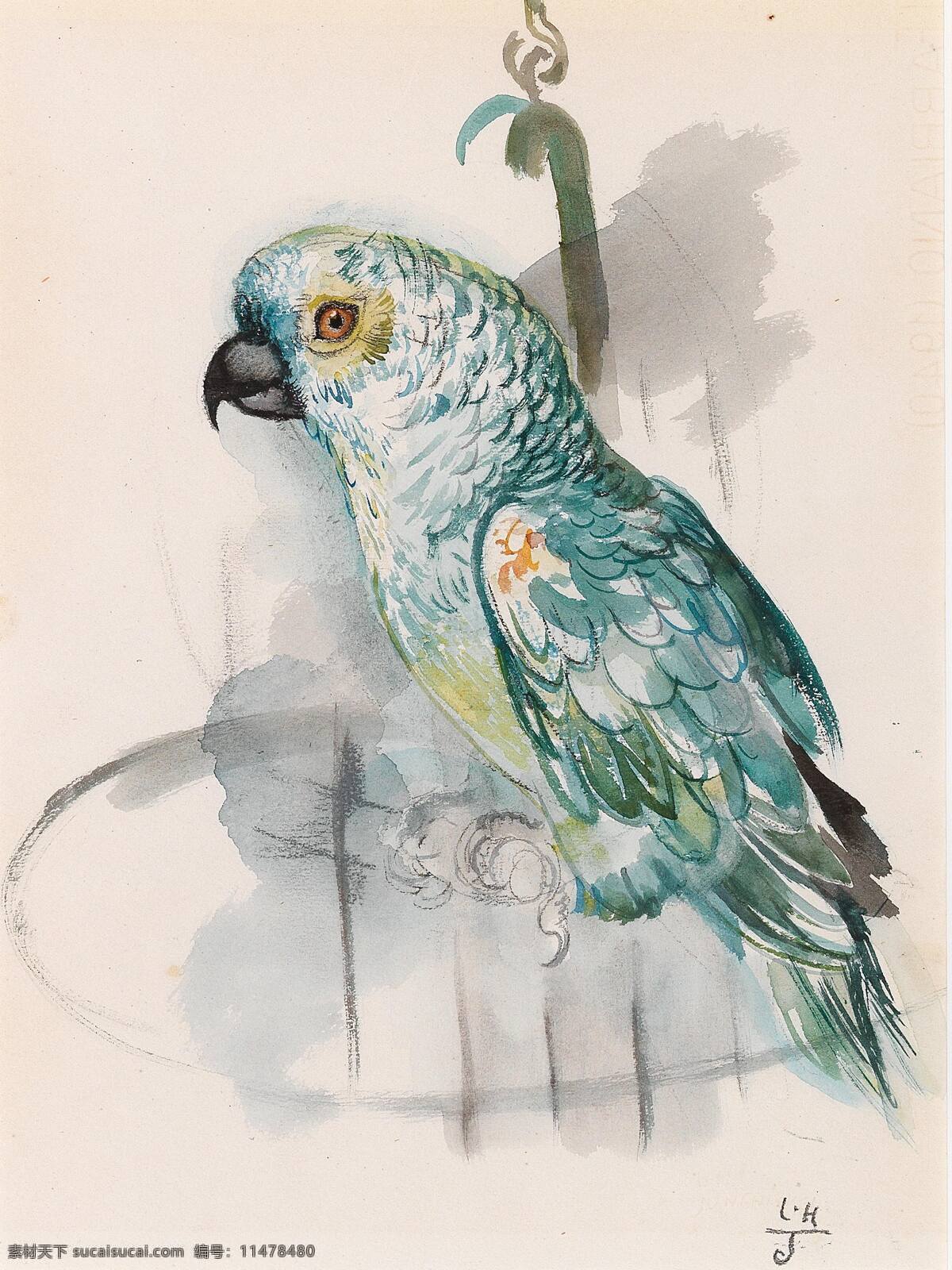 路德维希 海因里希 容克尼尔 奥地利画家 鹦鹉 黑白水彩 家养 世纪 水彩画 文化艺术 绘画书法