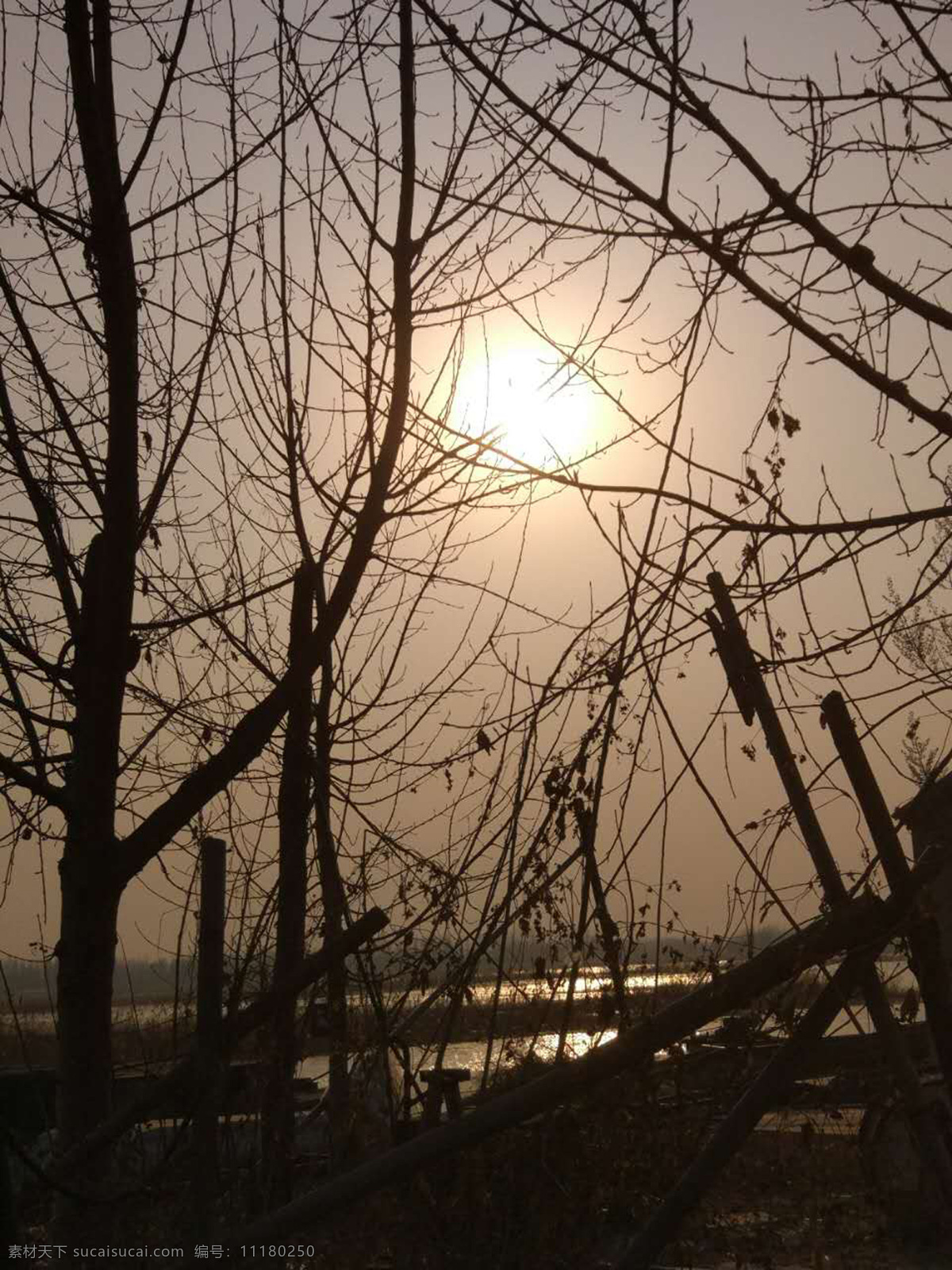 夕日 余晖 枯木 痕 太阳 夕阳 枯枝 水 湖上 人家 蓝天 碧水 照相 摄像 旅游摄影 国内旅游