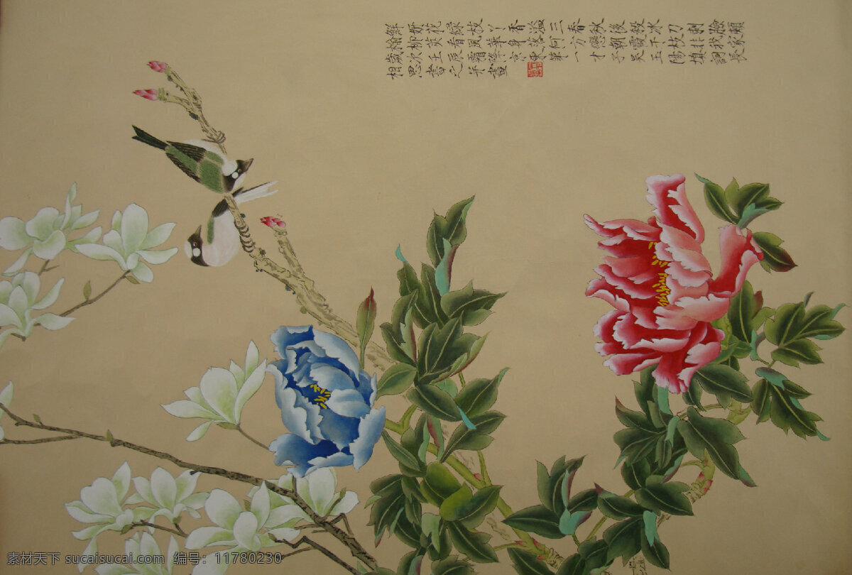 吴 玉阳 工笔 花鸟画 牡丹 吴玉阳 工笔画 牡丹花 玉兰花 花开富贵 工笔重彩画 工笔淡彩画 绘画书法 文化艺术