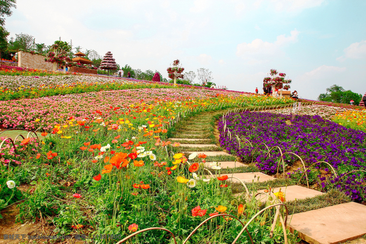 四川 新都 漫花庄园 阳光 花园 草地 鲜花 旅游摄影 国内旅游