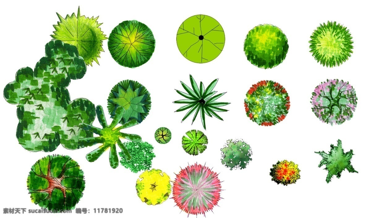 植物图例 园 林 景观 植物 图例 分层