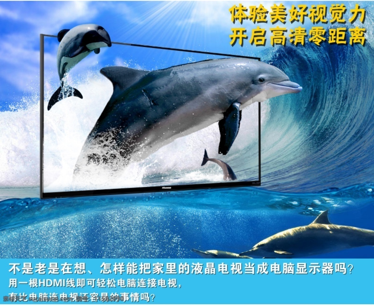 海豚 海报 海洋海报 大海 液晶电视海报 蓝鲸 原创设计 原创淘宝设计