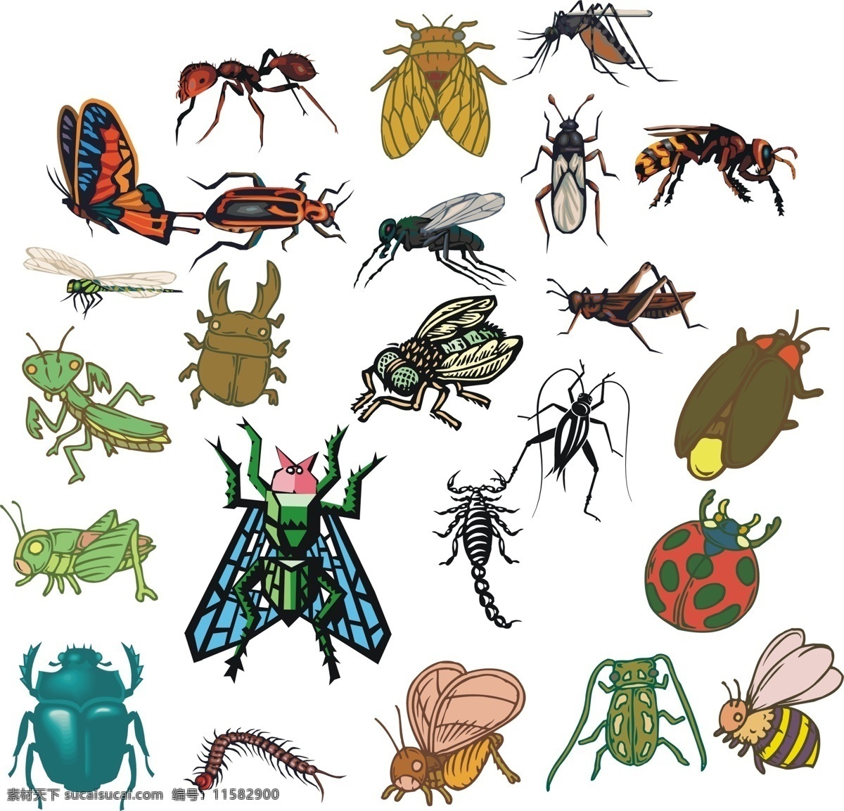 自然世界 矢量昆虫 昆虫 蚂蚁蟋蟀 禅 蜜蜂 蝴蝶 蜻蜓 蜈蚣 瓢虫 蝗虫 生物世界