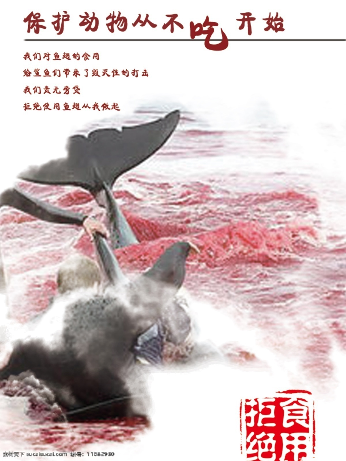 保护 动物 保护动物 人与自然 鱼翅 血腥 拒绝食用 海报 原创设计 原创海报