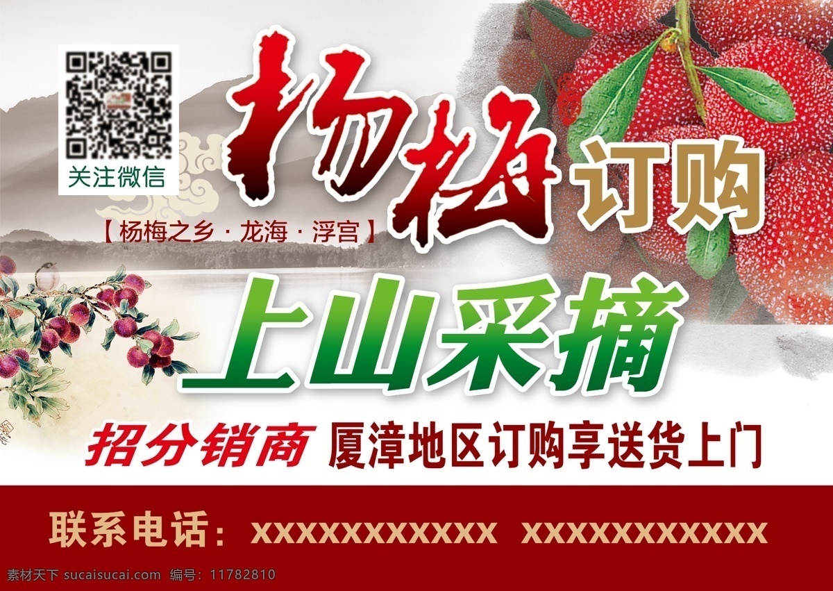 杨梅订购 上山采摘 杨梅 订购 采摘 宣传单