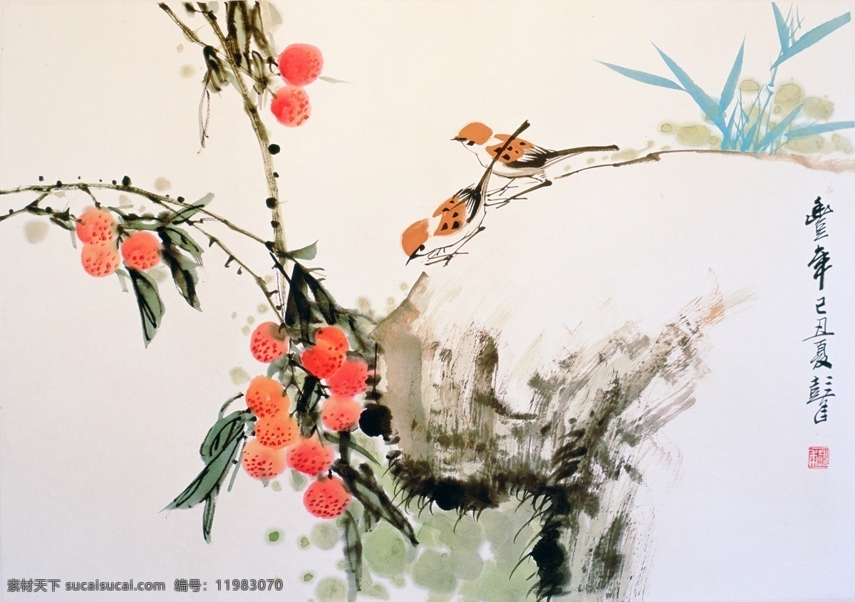 中国国画 杨梅 中国画 古画 花鸟画 水墨画 水墨写意 电分大图 高清 绘画书法 文化艺术