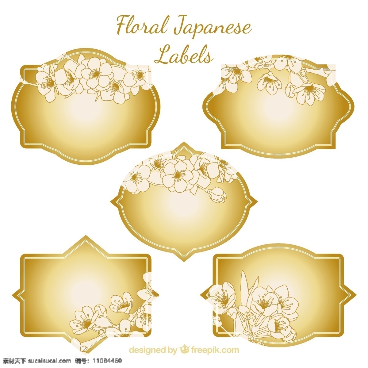 黄金 花卉 日本 标签 日本标签 黄金标签 花卉标签 白色