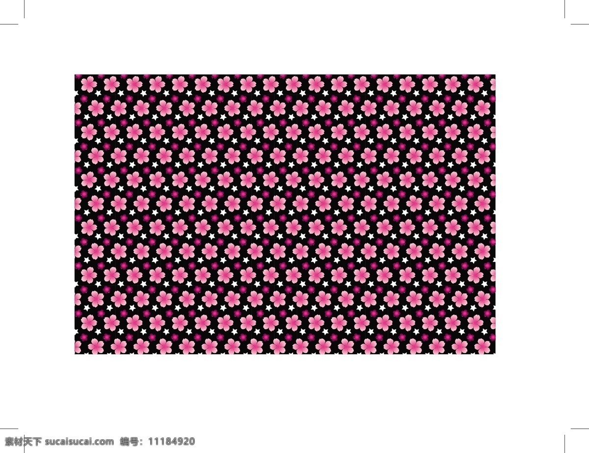黑暗 充满 活力 花瓣 ps 图象处理 软件 模式 鲜艳的花朵 花卉 图案 花型 粉红色的花朵
