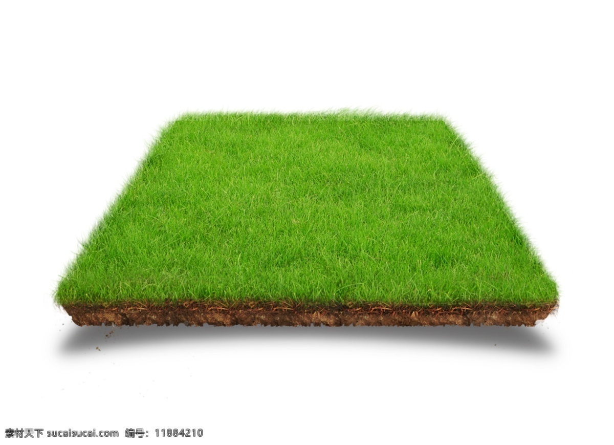 一坪草地 草地 草坪 绿色 土 土壤 肥沃