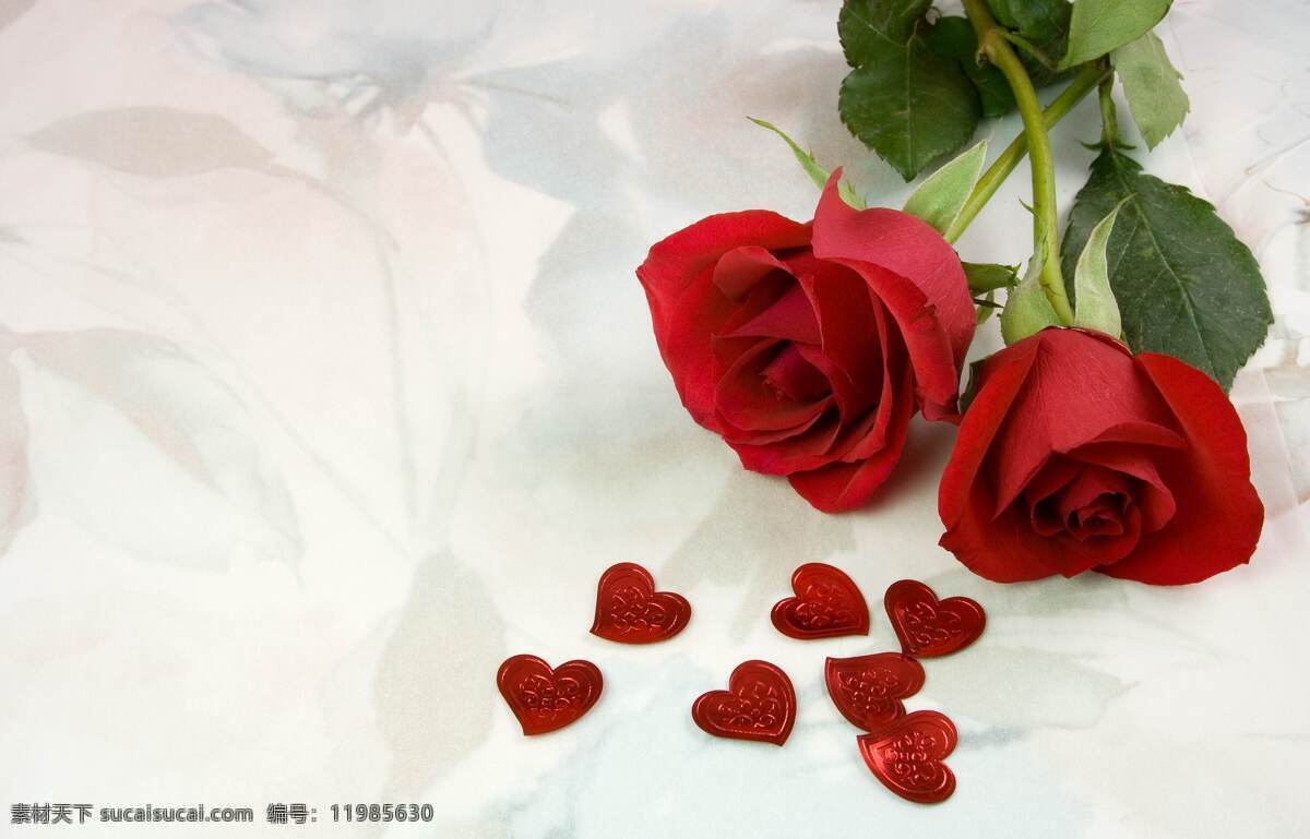 红玫瑰 玫瑰花 花朵 花卉 精品图片 实用图片 精美图片 印刷适用 高清图片 生物世界 花草 摄影图库