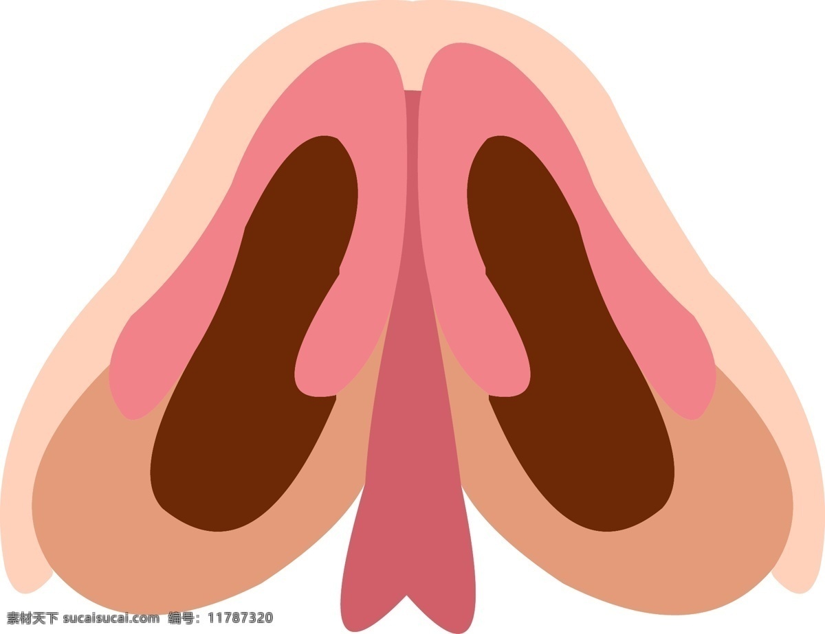 手绘 人体 器官 五官 鼻子 肌肉 结构 人体五官 鼻结构 器官结构 手绘器官 人体器官 矢量器官 器官图 眼耳口鼻 脏器 卡通器官