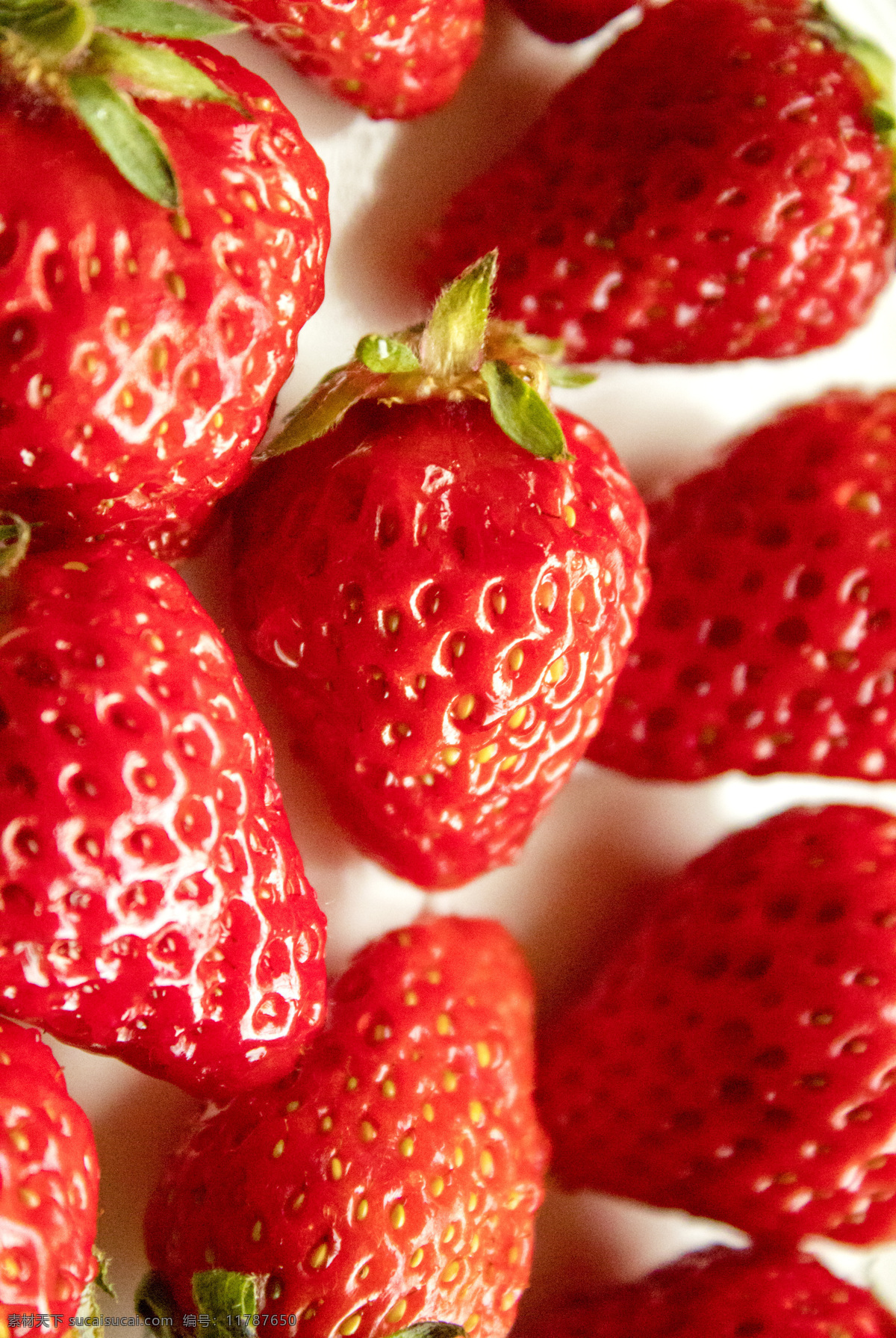 常见 水果 草莓 新鲜 红色 果实 浆果 香甜 甜美 可口 食物 商用