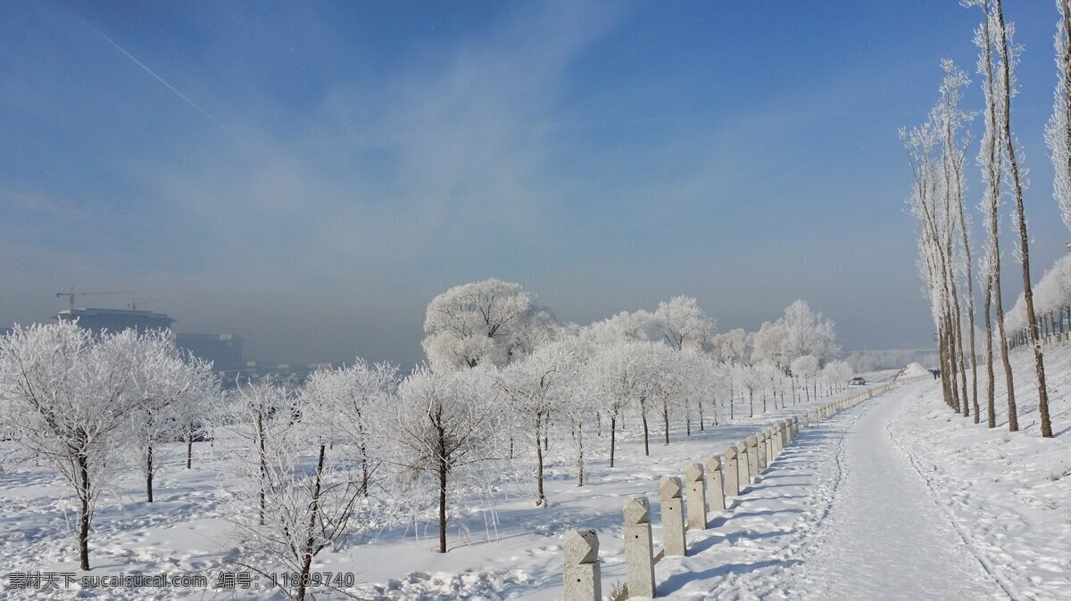 送花江边 雾凇 东北 冬天 雪 松花江 自然景观 自然风景
