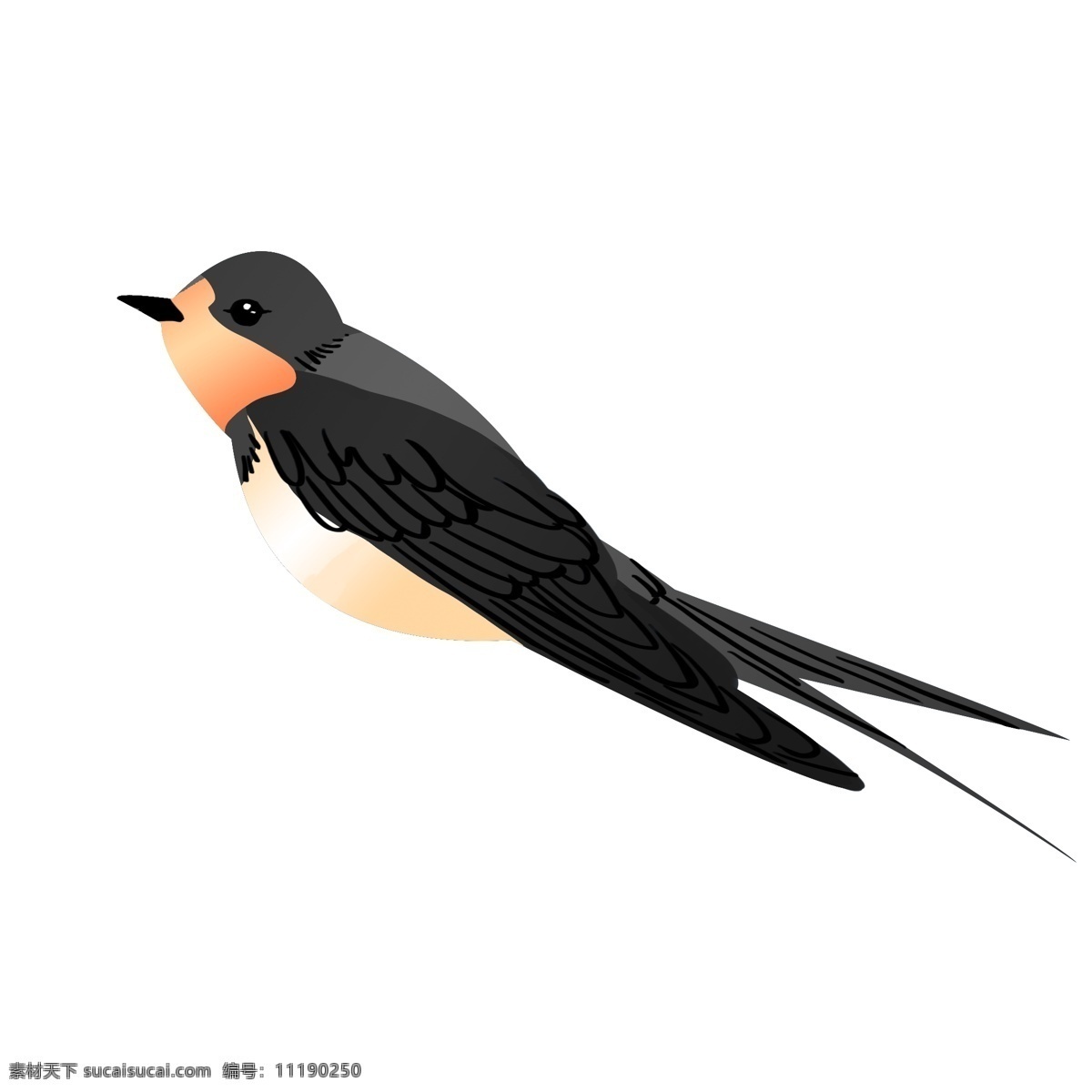立春 黑色 燕子 插画 飞行的燕子 黑色的翅膀 手绘燕子 动物 立春手绘插画 黑色的燕子 燕子插画