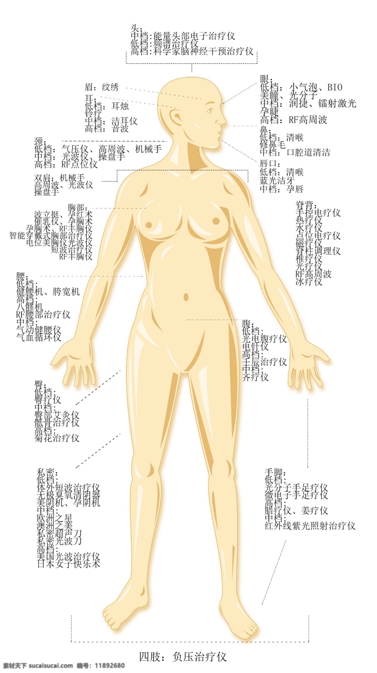 人体图 人体 人体正面 人体正面图 人体医学