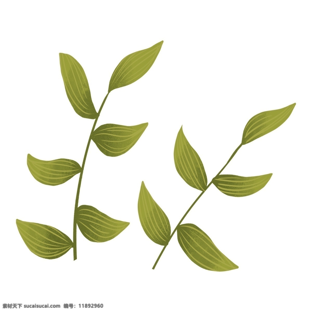 手绘 插画 绿叶 植物 手绘插画 植物素材 叶子 png元素 装饰图案