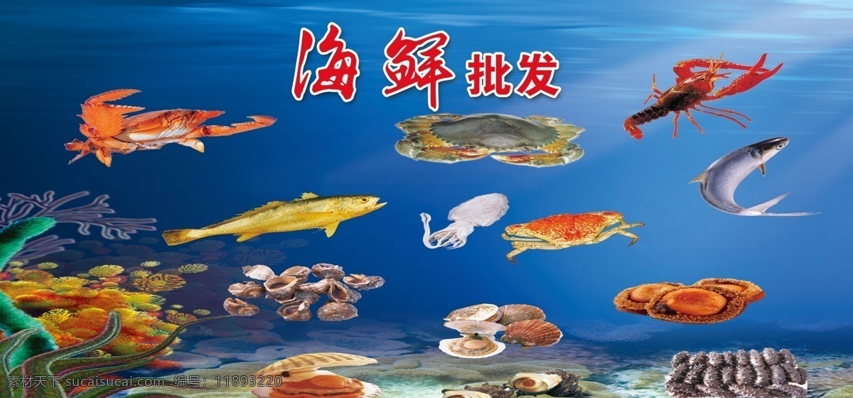 海参 鱼 贝 虾 海 蓝色 水 水草 海底 海鲜批发 分层