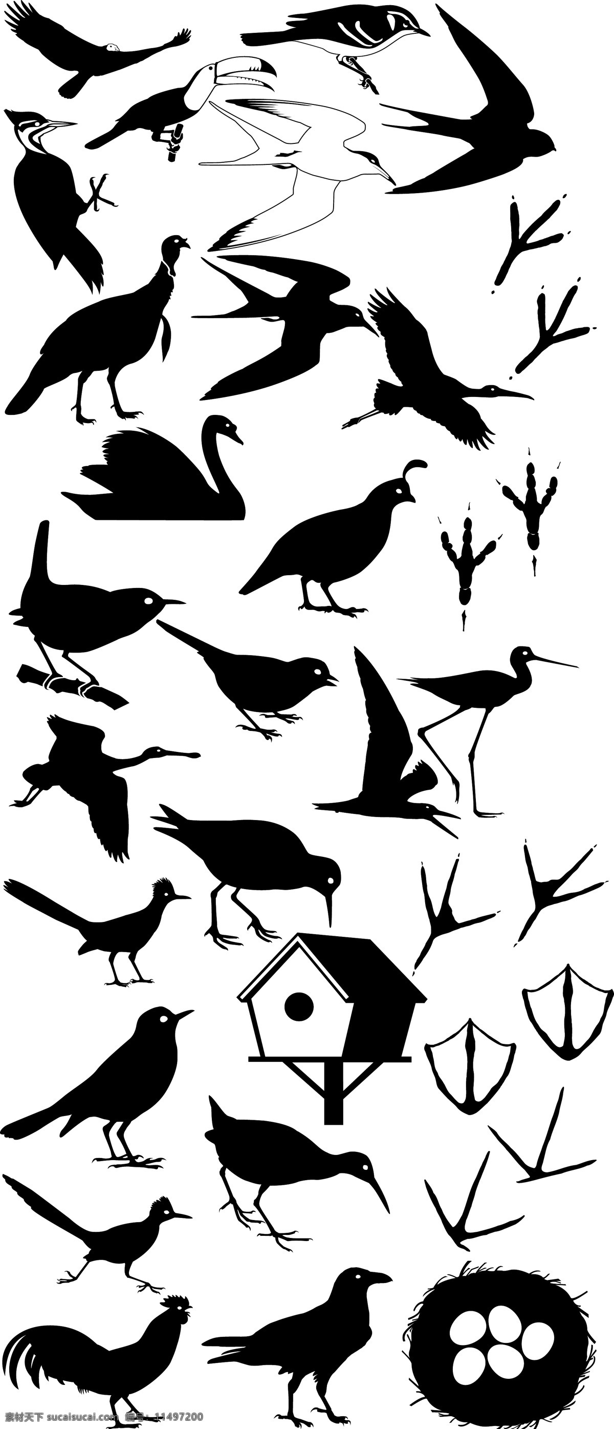 鸟类剪影 鸟类矢量图 剪影 墨版 鸟 八哥 天鹅 燕子 鸟蛋 爪 脚印 鸟屋 乌鸦 生物世界 鸟类