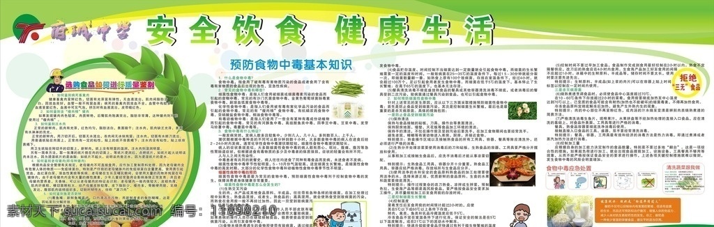 食品安全 健康宣传栏 绿色 简约 大方 学校 中学